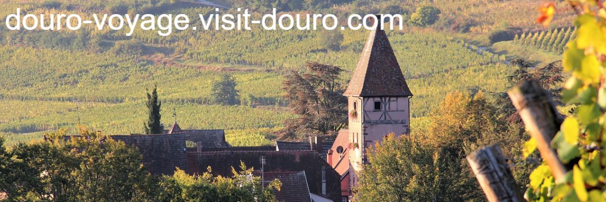 douro-voyage.visit-douro.com